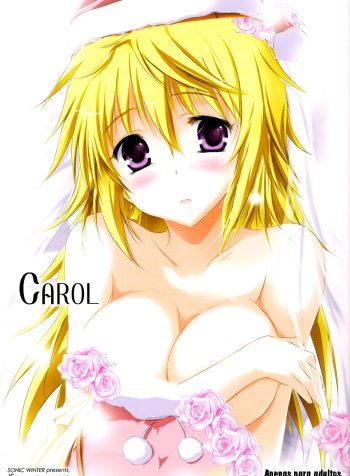 C81_SONIC_WINTER_Carol_Infinite_Stratos_001