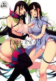 hc_01