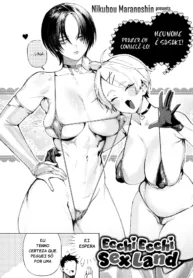 Ecchi Ecchi Sex Land