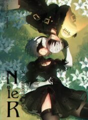 Nier N